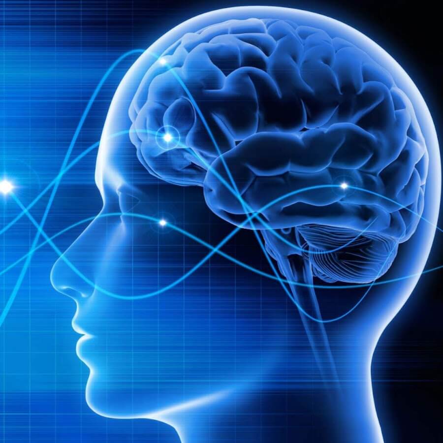 Что такое нейро. Подсознание человека. Память и внимание. Мозг память.